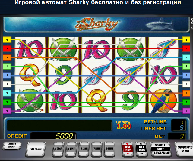 Играть бесплатно игровой автомат Sharky Пираты